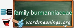 WordMeaning blackboard for family burmanniaceae